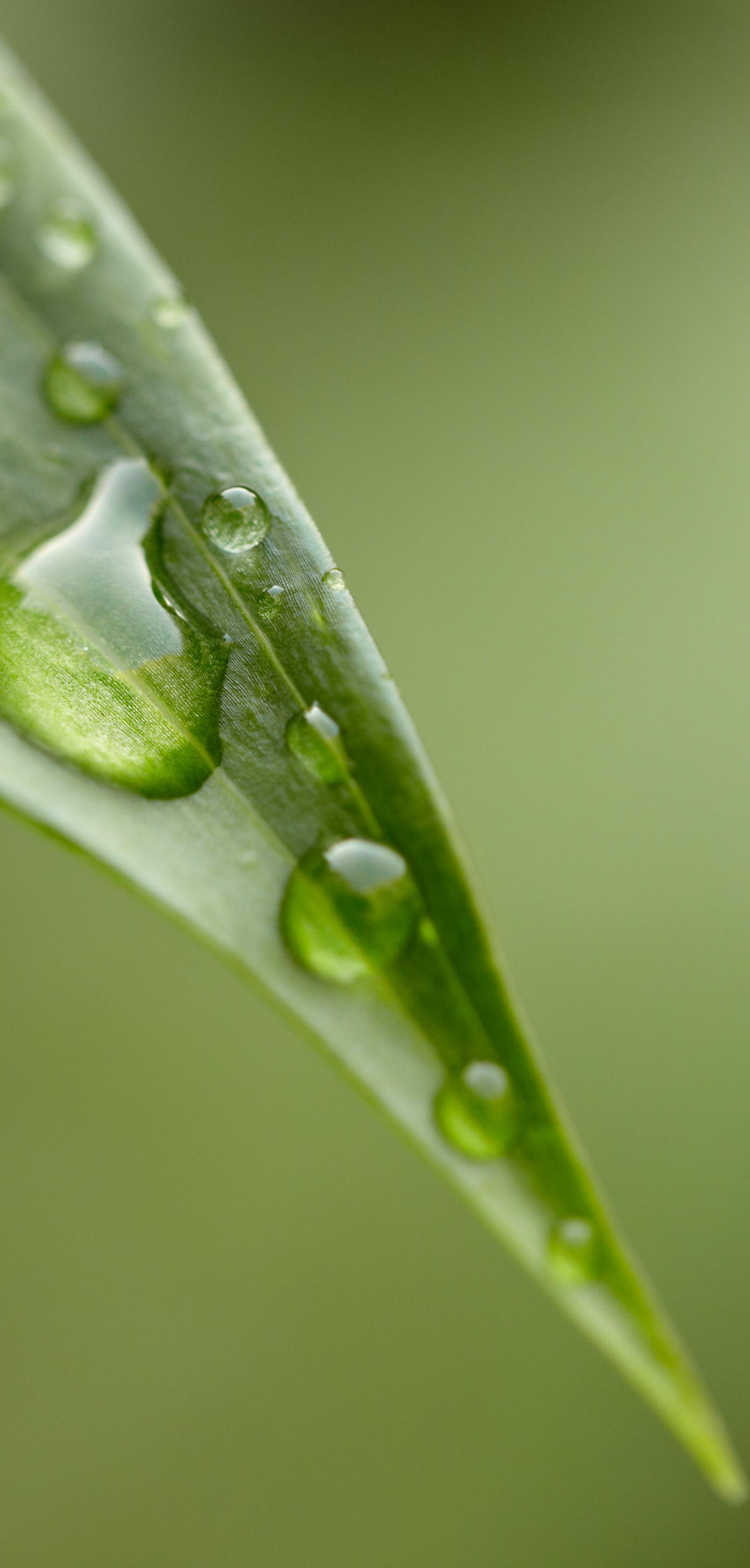 Green Technology Demands Careful Resource Management for Real Environmental Impact