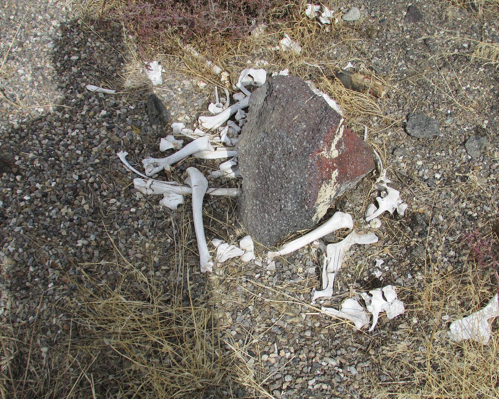 Malad River Overlook 2016 10 13 2255