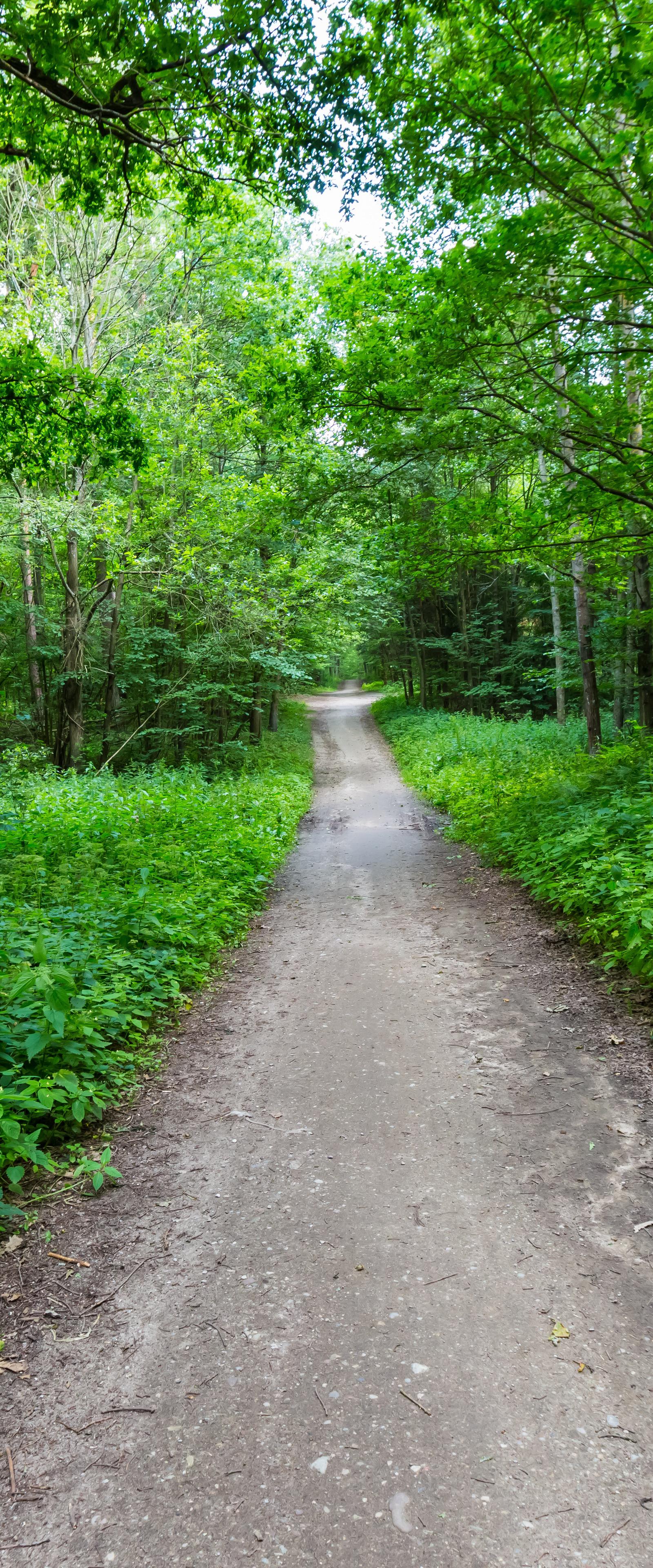 Borivali Residents Build Unique Green Habits Through Forest Access